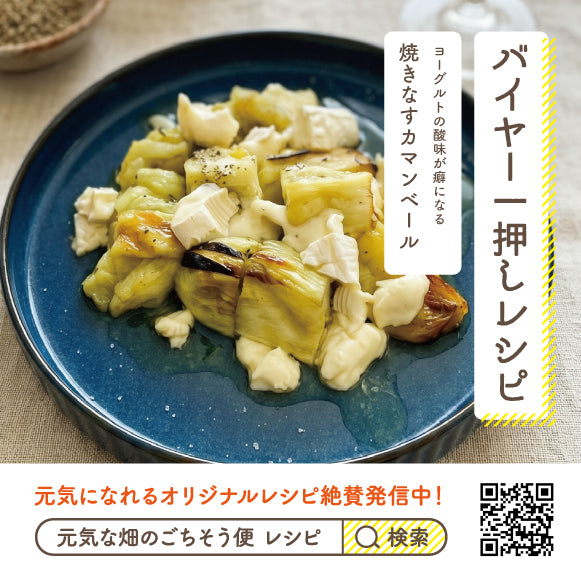 なす_Ｌサイズ