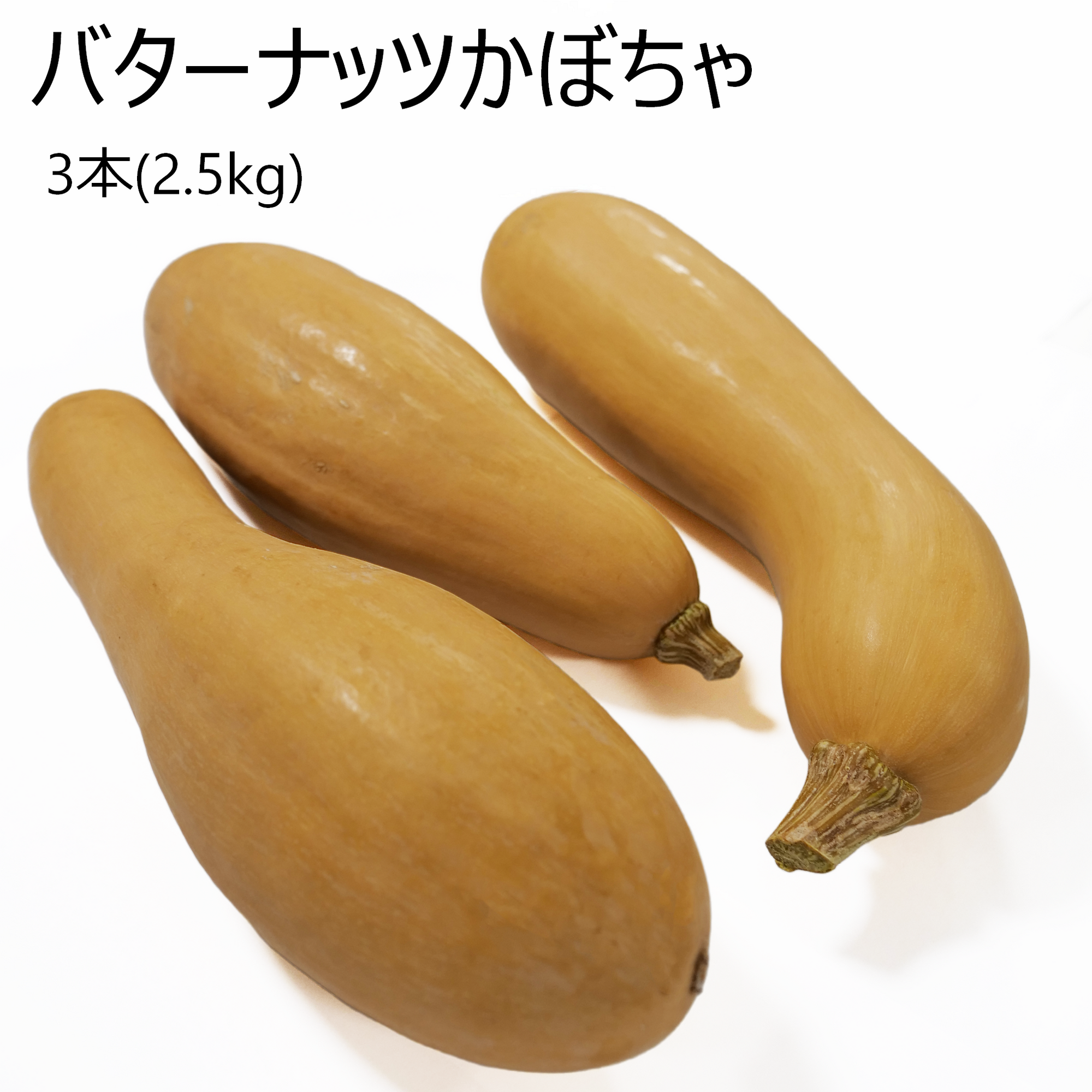 バターナッツかぼちゃ