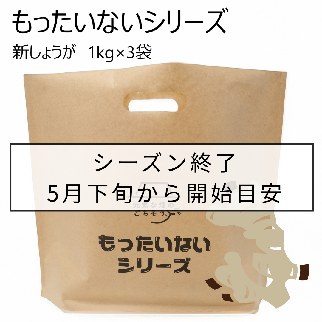 (も)新しょうが_1kg×3袋