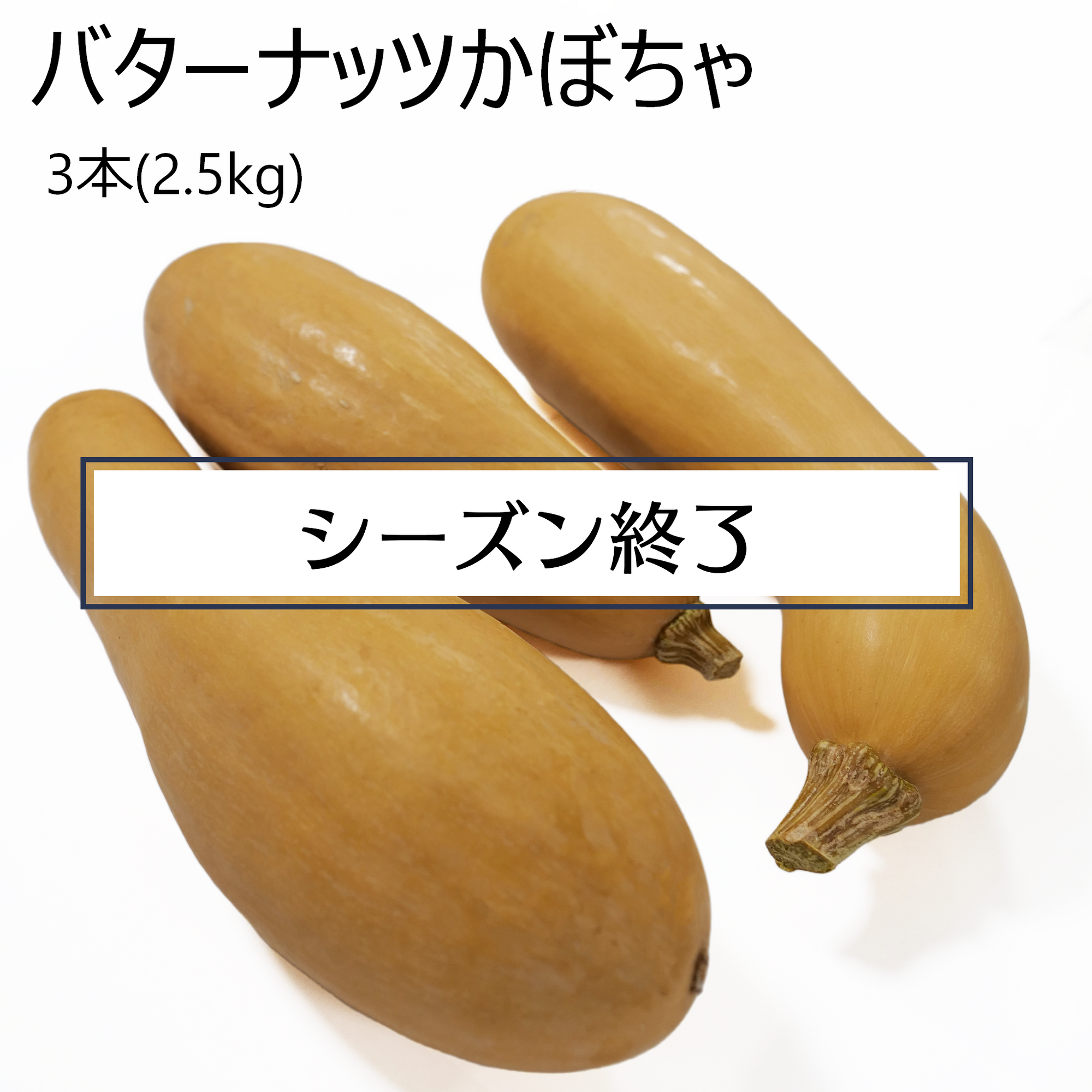 バターナッツかぼちゃ