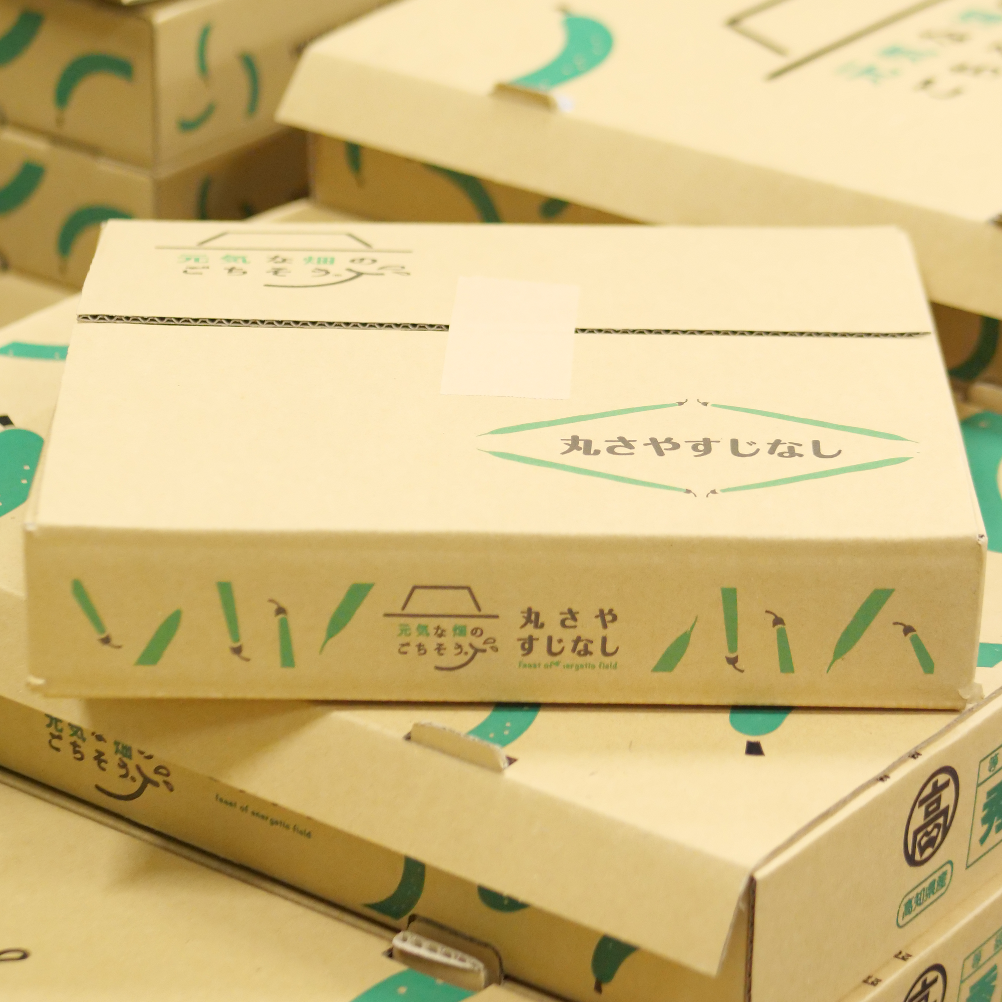 すじなしいんげん