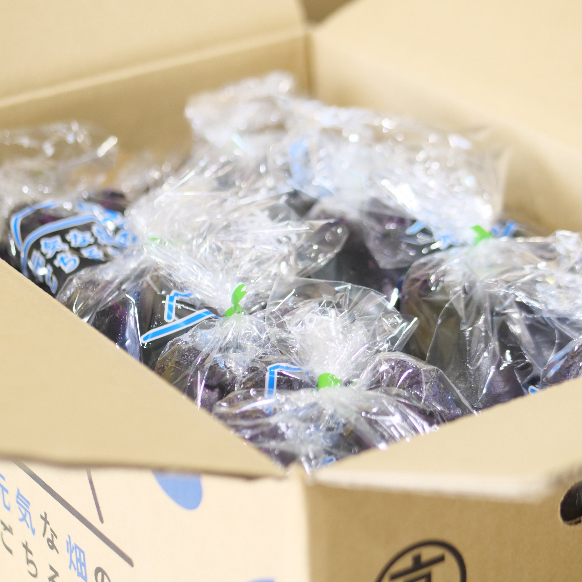 なす (L 3本×40袋)