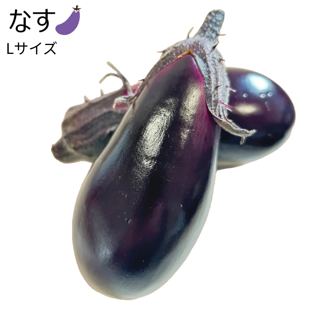 なす_Ｌサイズ